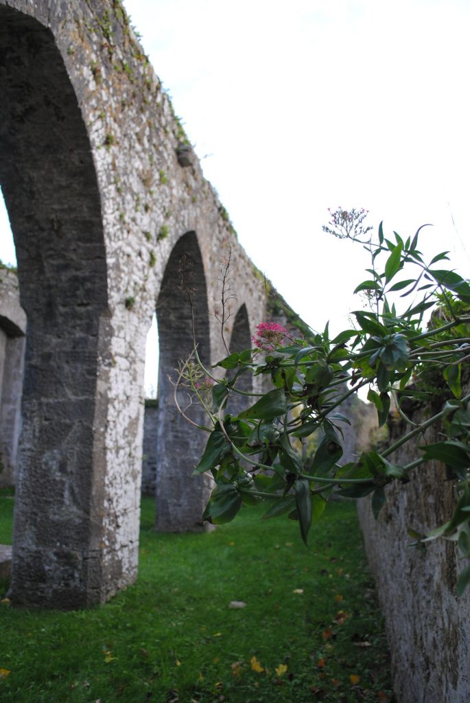 Ireland-Abbey-Church-Ruins-on-a-golfcourse-on-the-way-to-Limerick-23