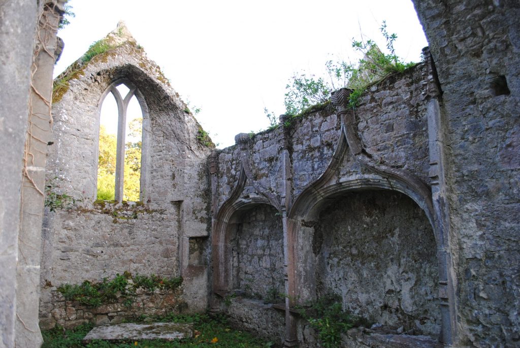 Ireland-Abbey-Church-Ruins-on-a-golfcourse-on-the-way-to-Limerick-8