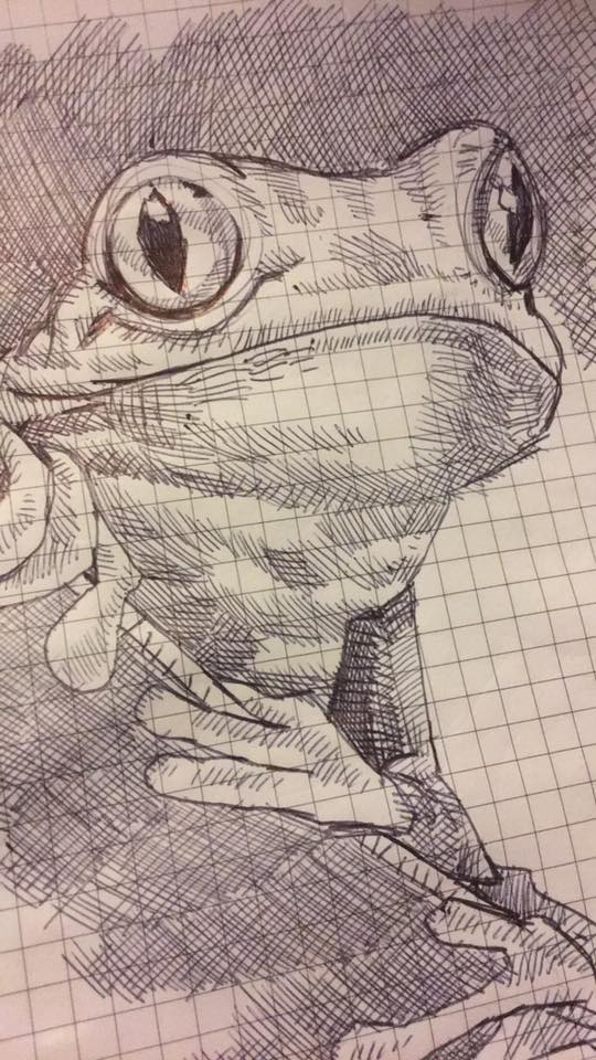 Frog Drawing With Ball Point Pen Ryanjlima (2)